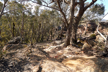 Mt York walking track in the Blue Mountains, New South Wales, Australia.