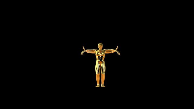 Beautiful golden woman belly dancing, hypnotical mirror moves, against black