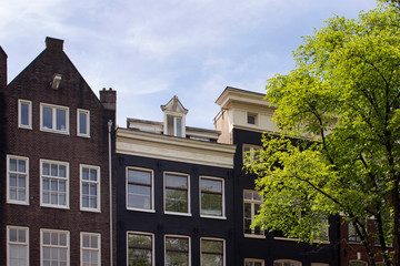 Fototapeta premium View of historical, traditional and typical buildings showing Dutch architectural style and a tree in Amsterdam. It is a sunny summer day.