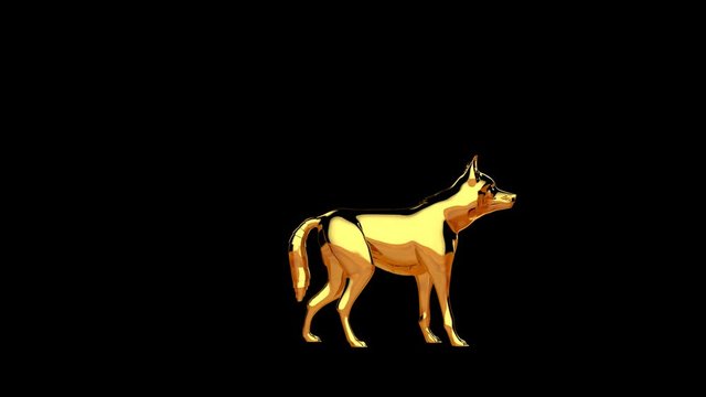 Golden wolf howling seamless loop, Alpha Channel 