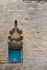 Antient windows in Fez, Morocco