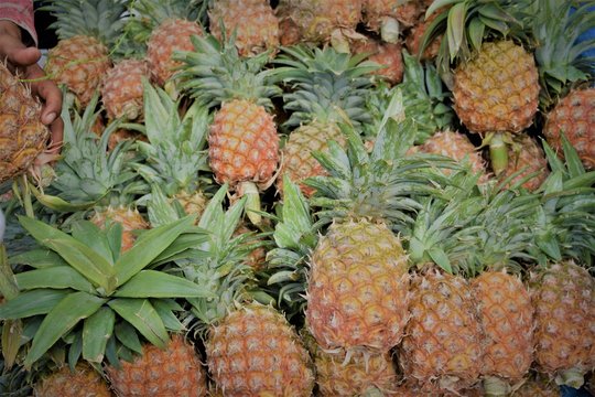 Pineapple in the market for sale image.