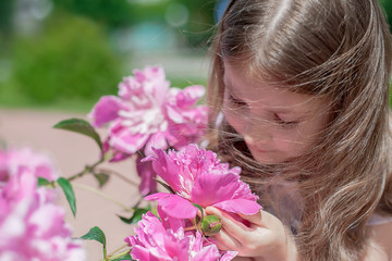 Fototapeta premium Cute little girl with long hair smelling the flower. Blooming pink peony (Paeonia, peony) flower. Outdoors. Enjoy nature. Healthy smiling child on spring park. Allergy free concept. Freedom