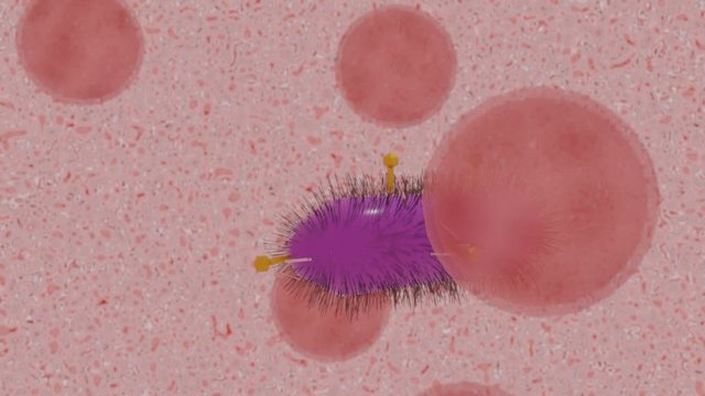 bacteriophage attached to cell 3d hd. Viral phage therapy Animation loop