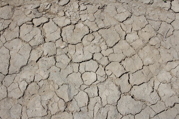 cracked dry land from the soil dehydrated surface fry in summer drought
