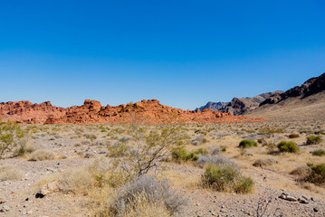 Nevada/ United states of America, USA-October 2nd 2019: valley of fire state park