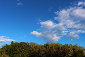 秋　空　田舎　森　風景　栃木