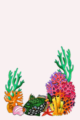 frame coral reef fish starfish