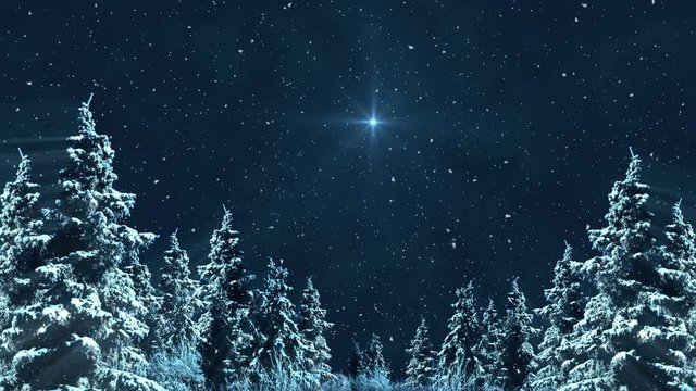 North Star And Dark Winter Night Scenery 