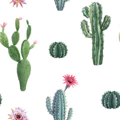 Beautiful watercolor cactus seamless pattern. Hand drawn stock illustrations. White background.