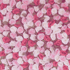 Naklejka premium Flowers wall amazing pink red and white roses, for wedding decoration, pastel and soft bouquet floral card.