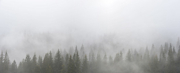 Mystiek landschap met mist