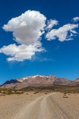 Fototapeta na wymiar Volcanoes near the Sajama national park in Bolivia.