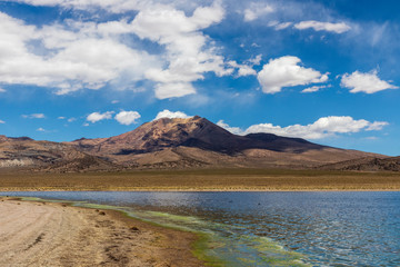 Fototapeta na wymiar Mountain and laguna at Sajama national park in Bolivia