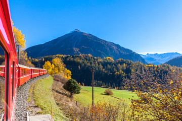 Travel with train in golden autumn