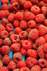 Fresh raspberries at a farmers market