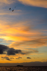 Natural marine landscape with amazing sunset over the ocean in Tenerife Canary Island Spain. Summer exotic vacation postcard from tropical island. Wonderful orange sunrise over the water behind clouds