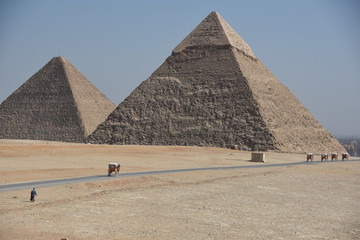 horse carriages in front of pyramid of khafre against clear sky