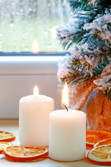 Christmas tree covered with snow - traditional winter decoration.