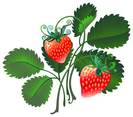 Decorative image of strawberries. Vector graphics