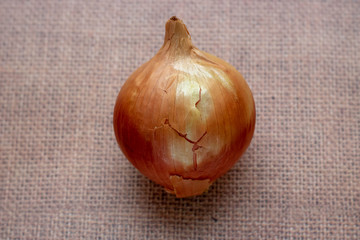 One yellow Fresh ripe onion bulb isolated on brown background