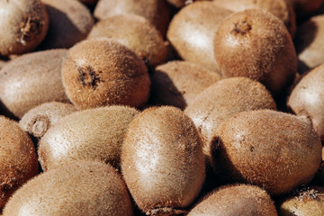 Fresh kiwi on the market. Lots of kiwi close-UPS.