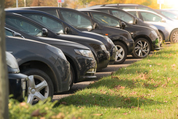 cars row parked at a car dealership stock