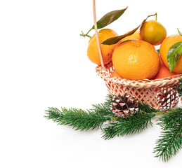 Christmas Tangerines. tangerines on a white background