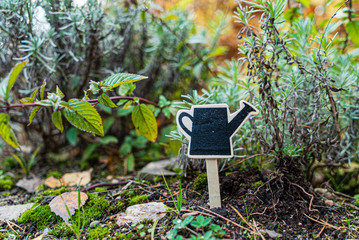 wooden watering can symbol in the garden