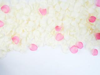 Flower frame made of rose petals