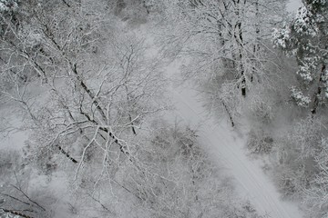 aerial view on forrest with snow in winter