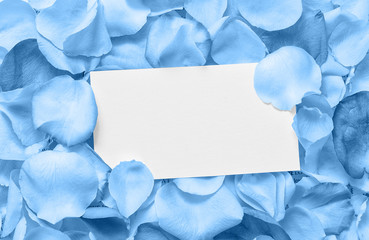A sheet of paper in a frame of flower petals of classic blue color with place for text. 
