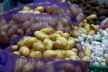 Seasonal vegetables are stacked in boxes at the grocery store.