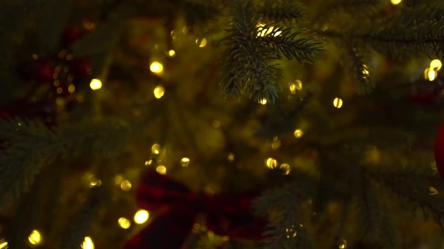 Closeup view of green branches of Christmas tree decorated with red ornaments and golden lights of led garlands.