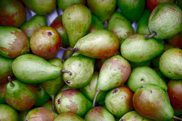 Seasonal fruits are placed in boxes in the grocery store.