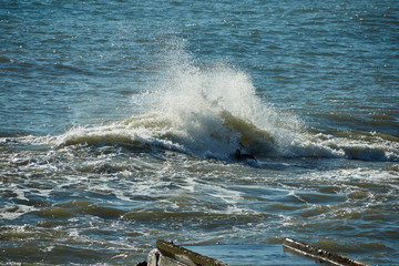 waves on the beach