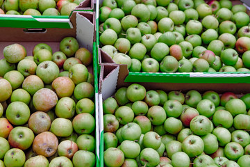 Seasonal fruits are placed in boxes in the grocery store.