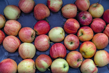 Seasonal fruits are placed in boxes in the grocery store.