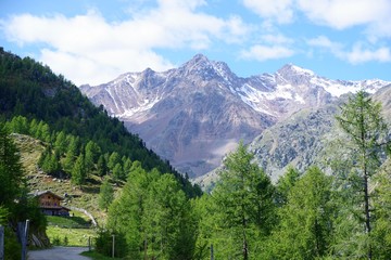 Fototapeta na wymiar Berge Ultental