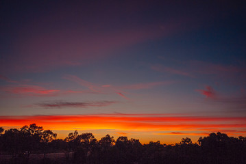 Obraz premium Some clouds glow in the dawn sky over the forest