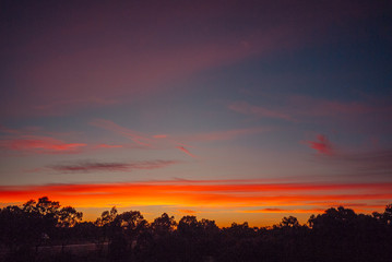 Fototapeta premium Some clouds glow in the dawn sky over the forest