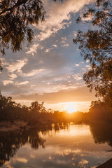 Big river flowing through the primeval forest with clear sky in Victoria, Australia. Murray River.