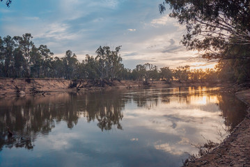 Big river flowing through the primeval forest with clear sky in Victoria, Australia. Murray River.