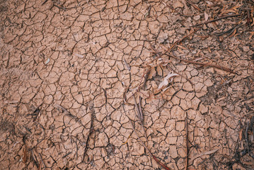 Drought cracked ground with dried branch and leaves.