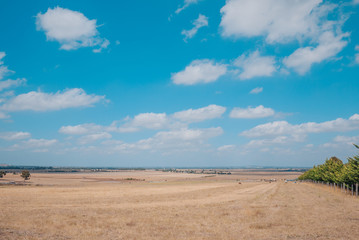 Fototapeta na wymiar Cloudy sky with dry grassland and pasture.
