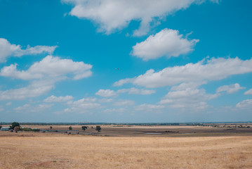 Cloudy sky with dry grassland and pasture.