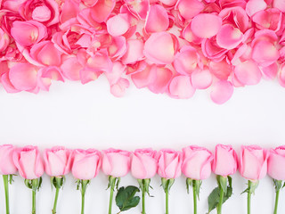 Flower frame made of pink roses