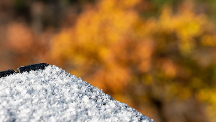 White Snow close-up in blurred background