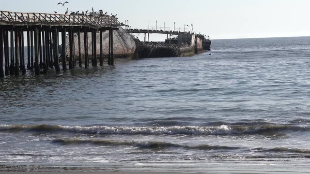 Seacliff State Beach in Santa Cruz California is known for its fishing pier and the sunken SS Palo Alto Naval ship.