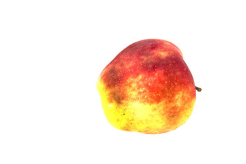 Red ripe apple on a white background